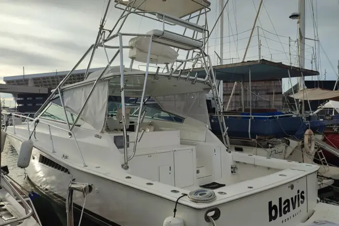 Viking 43